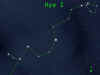 hydra.jpg (14863 bytes)