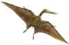 pterodaktil.jpg (14927 bytes)